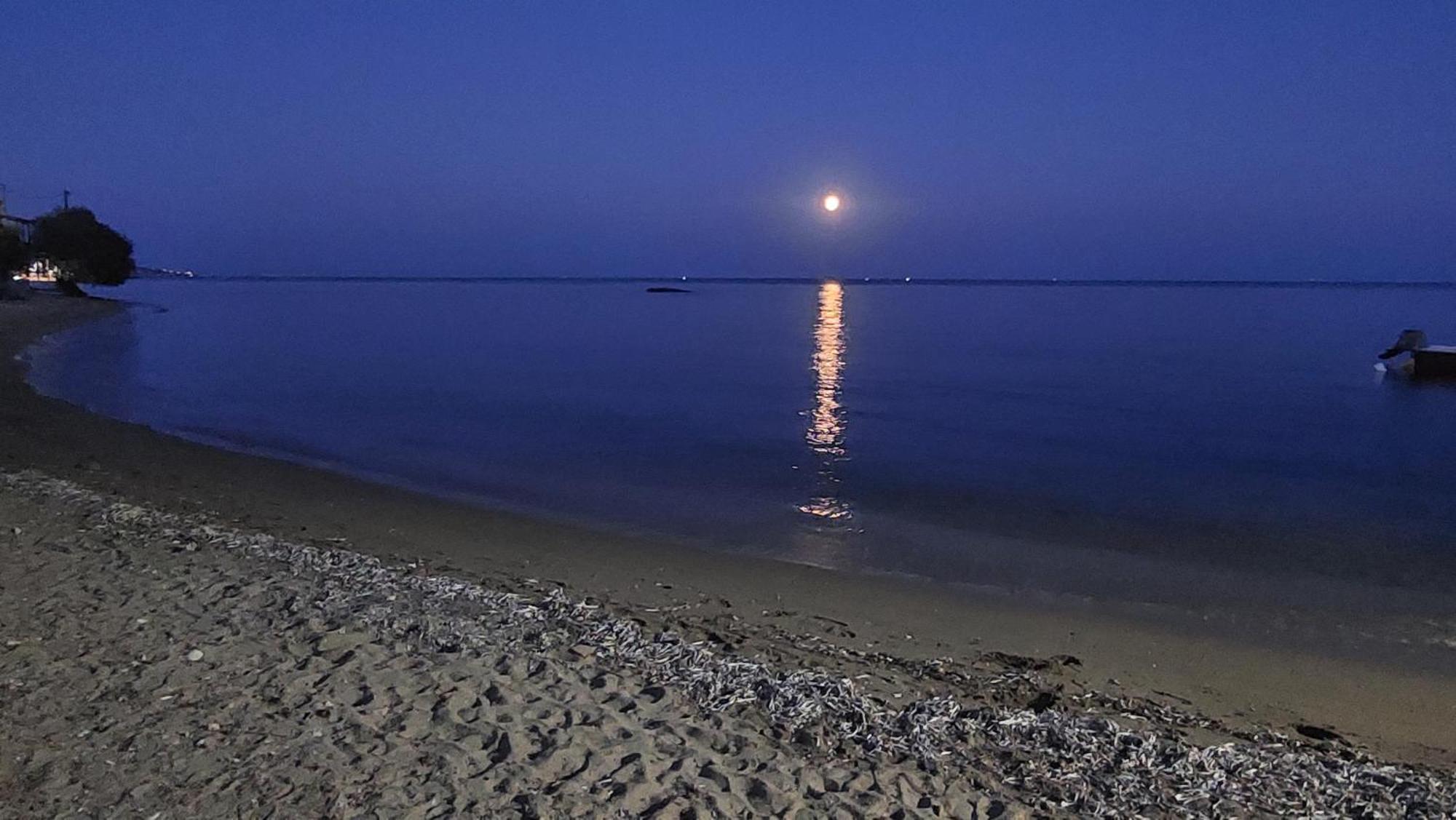 Fotis Beach Apartment At Komi Komi  Kültér fotó